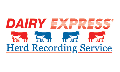 Dairy Express - Cattle